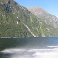 Photo's taken of the back of a boat on the way out into Milford Sound. We kayaked back.