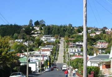 Baldwin Street, Dunedin. At 1:2.66 its the worlds steepest street although this picture does not show it very well! 