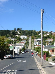 Baldwin Street, Dunedin. At 1:2.66 its the worlds steepest street although this picture does not show it very well! 