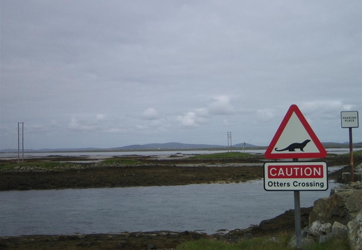 Dont run them over!