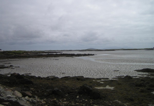 Mud flats