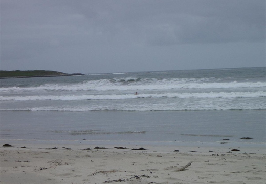 Jack out for a swim!