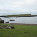 IMG_5291.jpg
