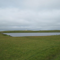IMG_5296.jpg