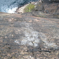 IMG_5314.jpg