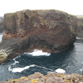 IMG_5315.jpg