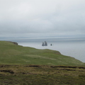 IMG_5335.jpg