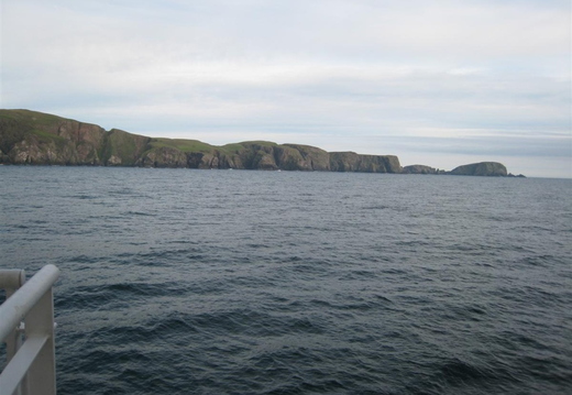IMG_5386.jpg