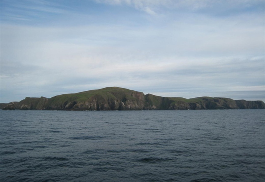 IMG_5383.jpg