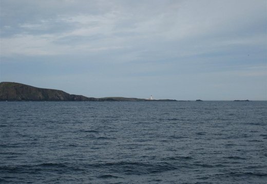 IMG_5389.jpg