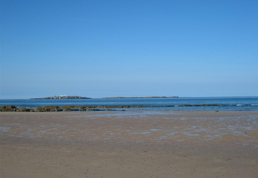 Out to Inner Farne from the beach