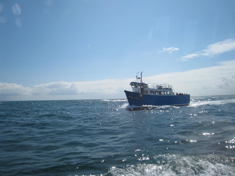 Boat trip around the Farnes (from our boat)