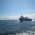 Boat trip around the Farnes (from our boat)