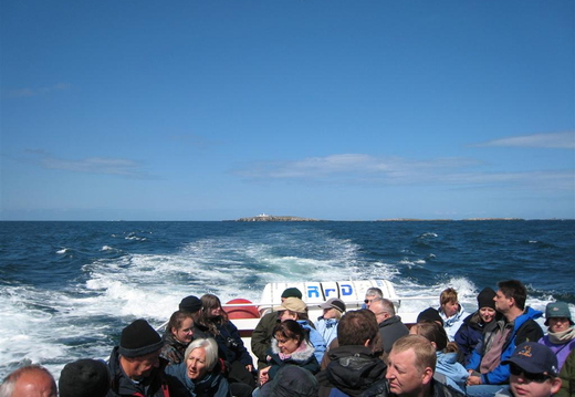 Back towards Inner Farne
