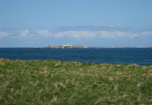Towards Inner Farne from cliff top