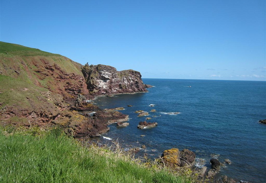 St Abbs Head Nature Reserve