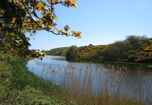 Wee Lochan