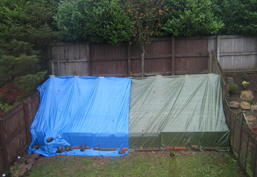IMG 1129 (Large)