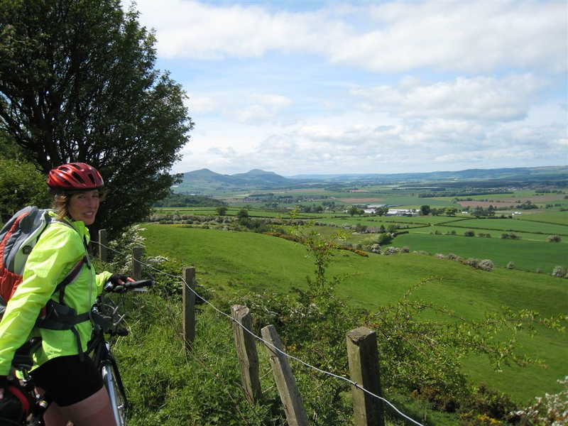 Loopy Loopster - Lomond hills in the distance