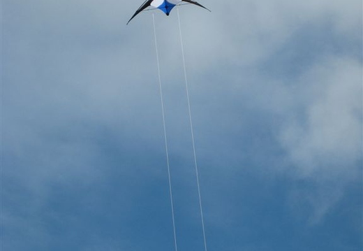 Flying Lucys Kite @ Newquay