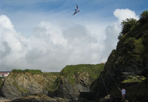 Newquay Beach