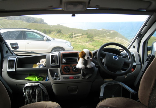 Van Dog Shagging Gear Knob!