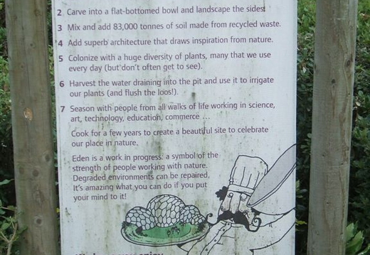 Creation Of Eden Project  (Lucy)