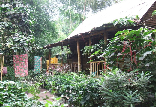 Malaysian Hut