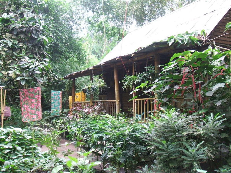 Malaysian Hut