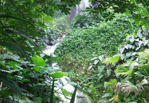 Stream