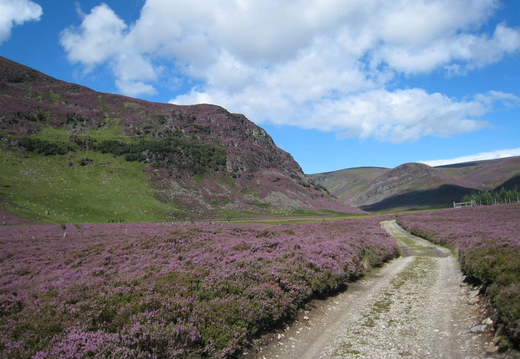 Up the access track