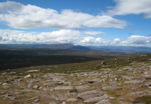 Across to Lochnagar