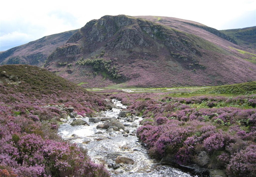 Colourful stream