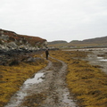 Seaweed avenue