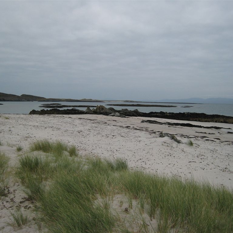 IMG_7687.JPG