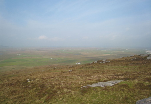 IMG_7729.JPG