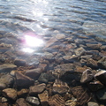 IMG_7868.JPG
