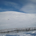 Plenty of people hiking for freshies