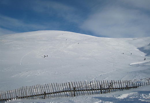 Plenty of people hiking for freshies