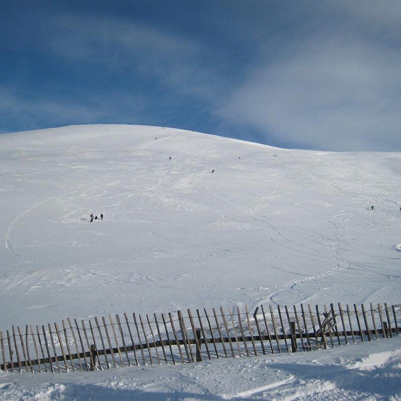 Plenty of people hiking for freshies