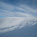 IMG_8541.JPG