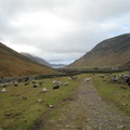 Wast Water From Wasdale Head