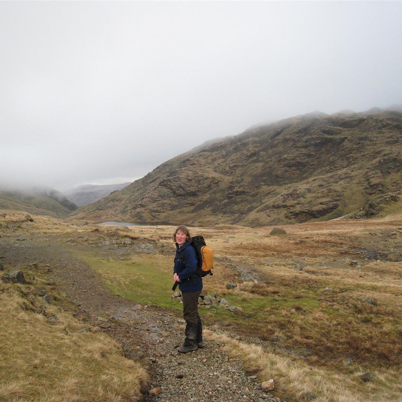 Lucy, Styhead tarn behind