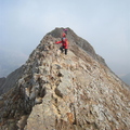 Lucy On The Sharp Bit