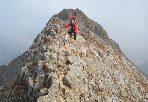 Lucy On The Sharp Bit