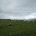 Island Of Danna