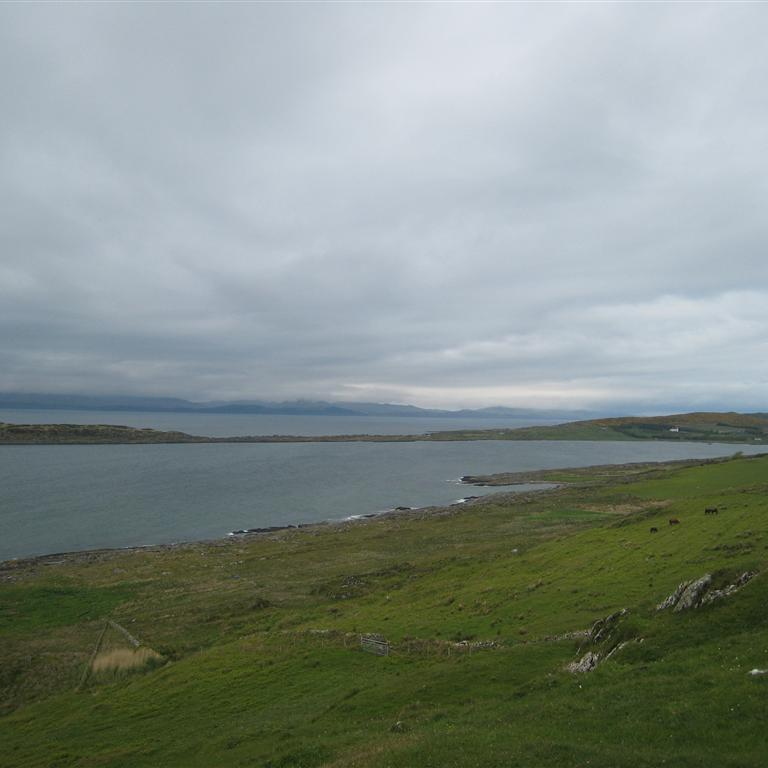 IMG_9536.JPG