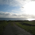 IMG_9557.JPG