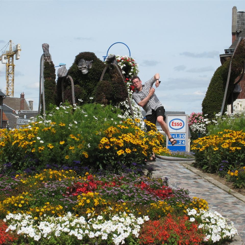 Gorilla on a roundabout