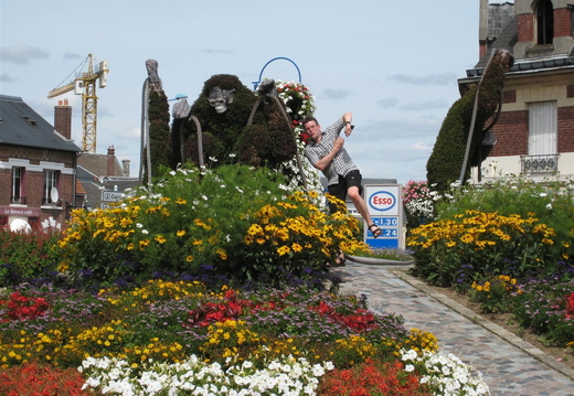 Gorilla on a roundabout